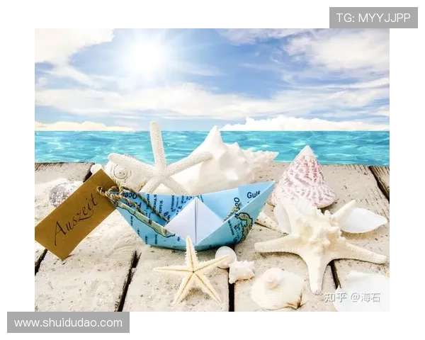 心之所向，素履以往：拥抱“这感觉真好”的生活