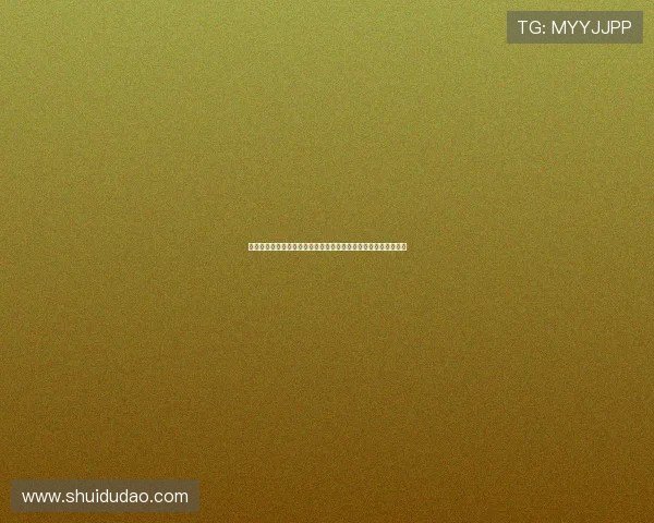 《忠犬八公的故事》影评：那份穿越光影的深情，温暖了整个世界