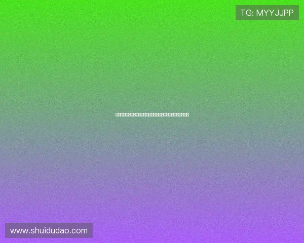 《边境风云》：迷雾散尽，留下的是希望的微光还是无尽的绝望？