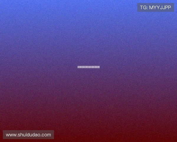 玩命赌局：当人生的一切都押上桌